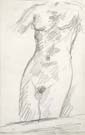 PIERRE BONNARD, A Female Body, black chalk